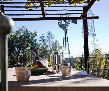 ホテル Olive Grove House プリンス・アルバート エクステリア 写真