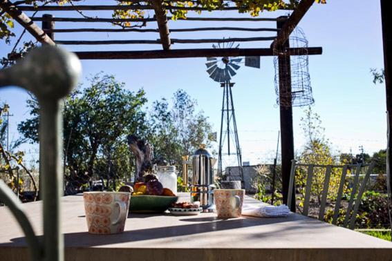 ホテル Olive Grove House プリンス・アルバート エクステリア 写真